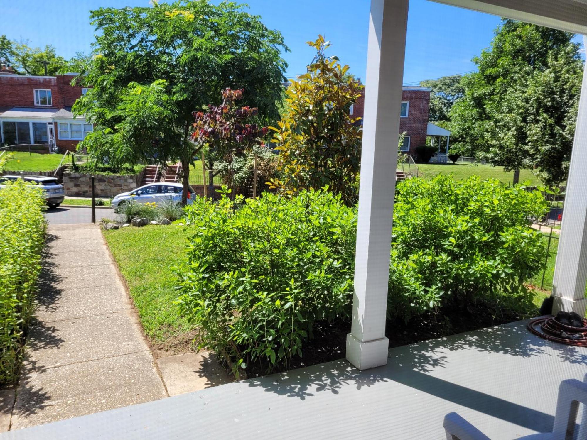 Capitol Hill Adj Home With Parking And Easy Access To Downtown Washington Exteriör bild